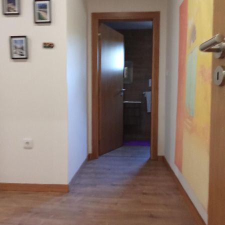 Suites Passadicos Do Paiva E Ponte Suspensa Cinfães Eksteriør bilde